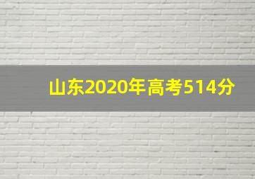 山东2020年高考514分