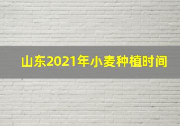 山东2021年小麦种植时间