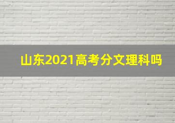 山东2021高考分文理科吗