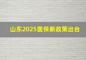 山东2025医保新政策出台