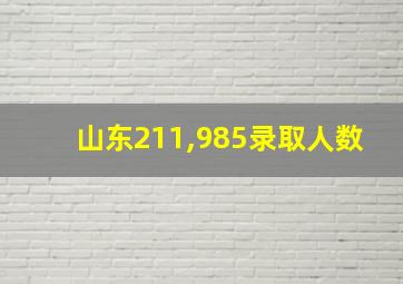 山东211,985录取人数