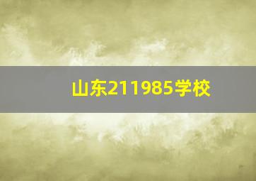 山东211985学校