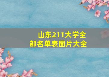 山东211大学全部名单表图片大全