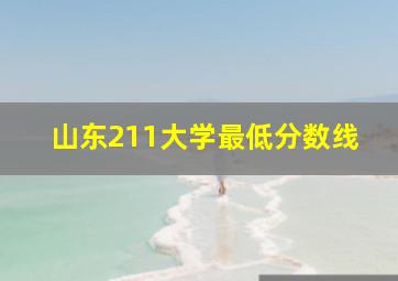 山东211大学最低分数线