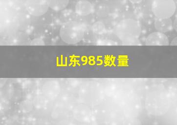 山东985数量