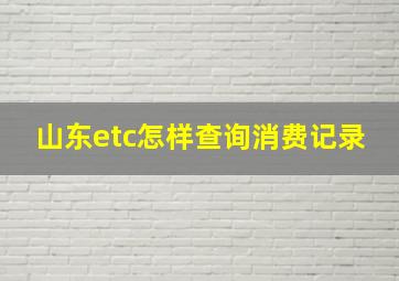 山东etc怎样查询消费记录