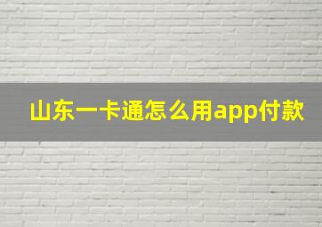 山东一卡通怎么用app付款