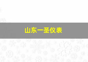 山东一圣仪表