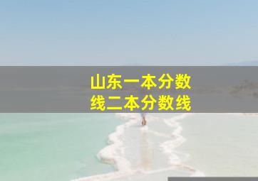 山东一本分数线二本分数线