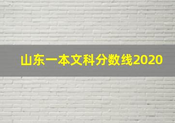 山东一本文科分数线2020