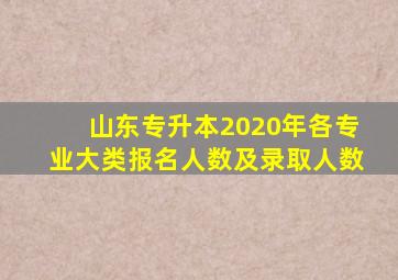 山东专升本2020年各专业大类报名人数及录取人数