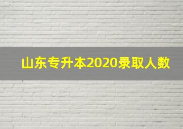 山东专升本2020录取人数