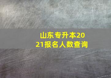 山东专升本2021报名人数查询