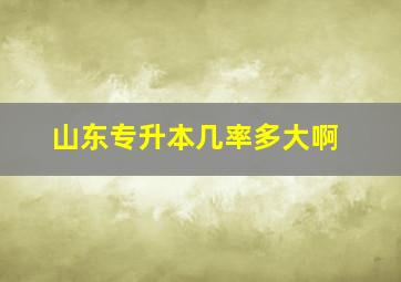 山东专升本几率多大啊