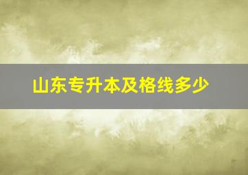 山东专升本及格线多少