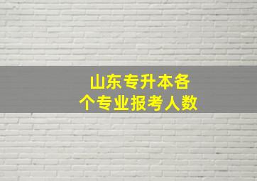 山东专升本各个专业报考人数