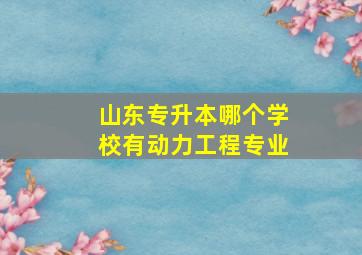 山东专升本哪个学校有动力工程专业