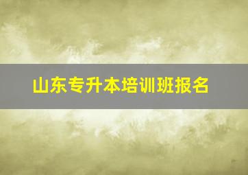 山东专升本培训班报名