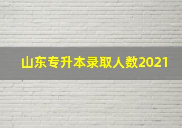 山东专升本录取人数2021