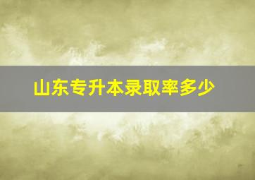 山东专升本录取率多少