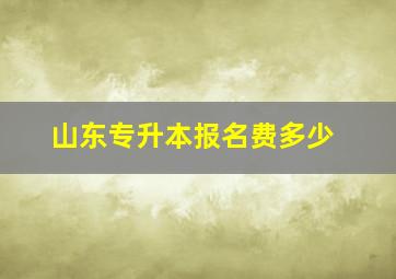 山东专升本报名费多少