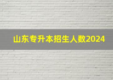 山东专升本招生人数2024