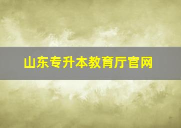 山东专升本教育厅官网