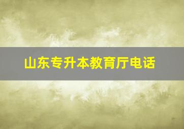 山东专升本教育厅电话