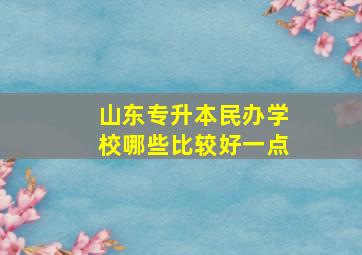 山东专升本民办学校哪些比较好一点