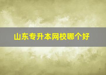 山东专升本网校哪个好