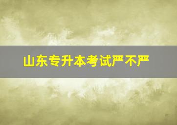 山东专升本考试严不严