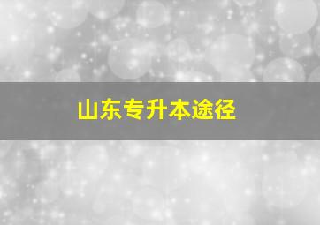 山东专升本途径