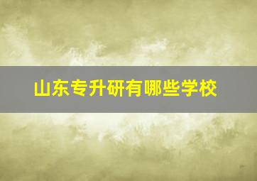 山东专升研有哪些学校