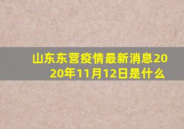 山东东营疫情最新消息2020年11月12日是什么