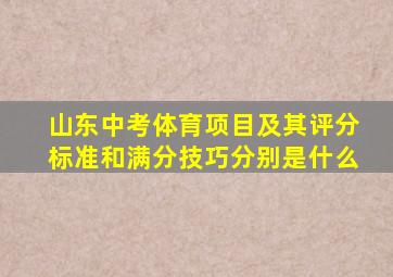 山东中考体育项目及其评分标准和满分技巧分别是什么