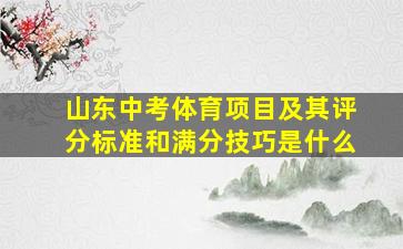 山东中考体育项目及其评分标准和满分技巧是什么