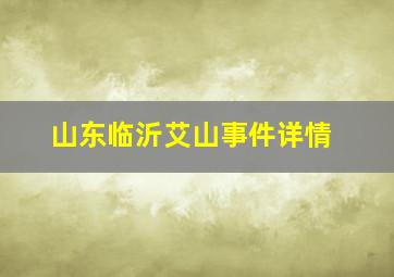 山东临沂艾山事件详情