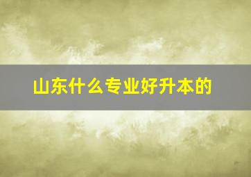 山东什么专业好升本的