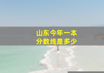 山东今年一本分数线是多少