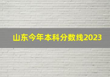 山东今年本科分数线2023