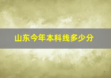 山东今年本科线多少分