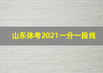 山东体考2021一分一段线