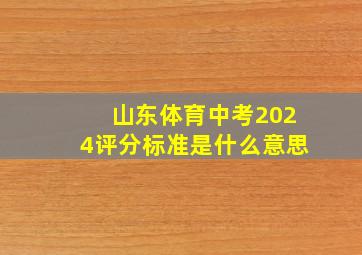 山东体育中考2024评分标准是什么意思