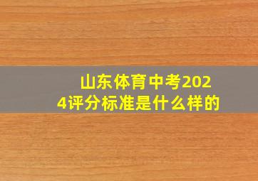 山东体育中考2024评分标准是什么样的