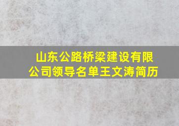 山东公路桥梁建设有限公司领导名单王文涛简历