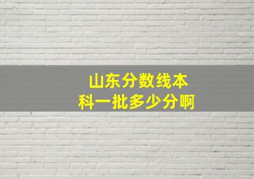 山东分数线本科一批多少分啊