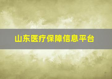 山东医疗保障信息平台