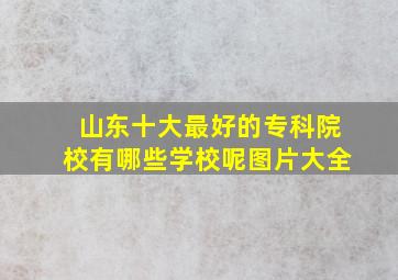 山东十大最好的专科院校有哪些学校呢图片大全