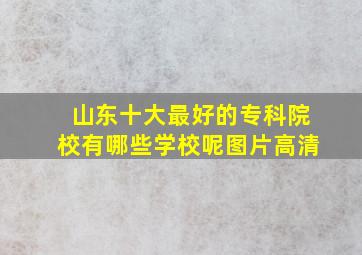 山东十大最好的专科院校有哪些学校呢图片高清