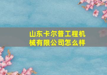 山东卡尔普工程机械有限公司怎么样